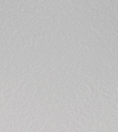Dolphin Gray